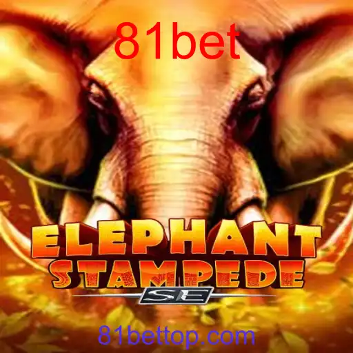ElephantStampedeSE
